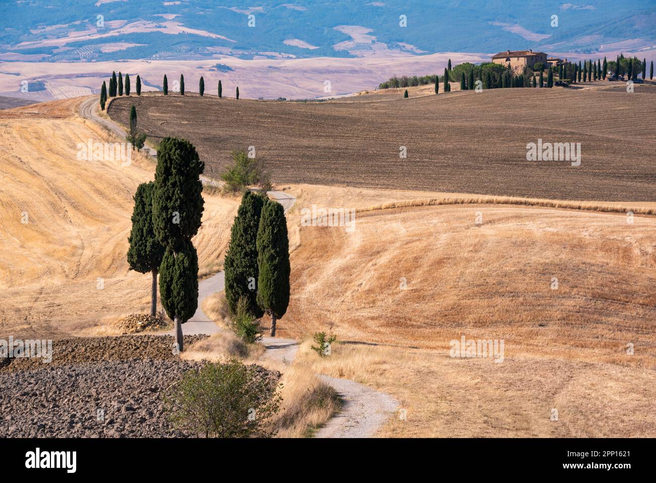 Picturesque countryside road among yellow summer fields Stock Photo - Alamy