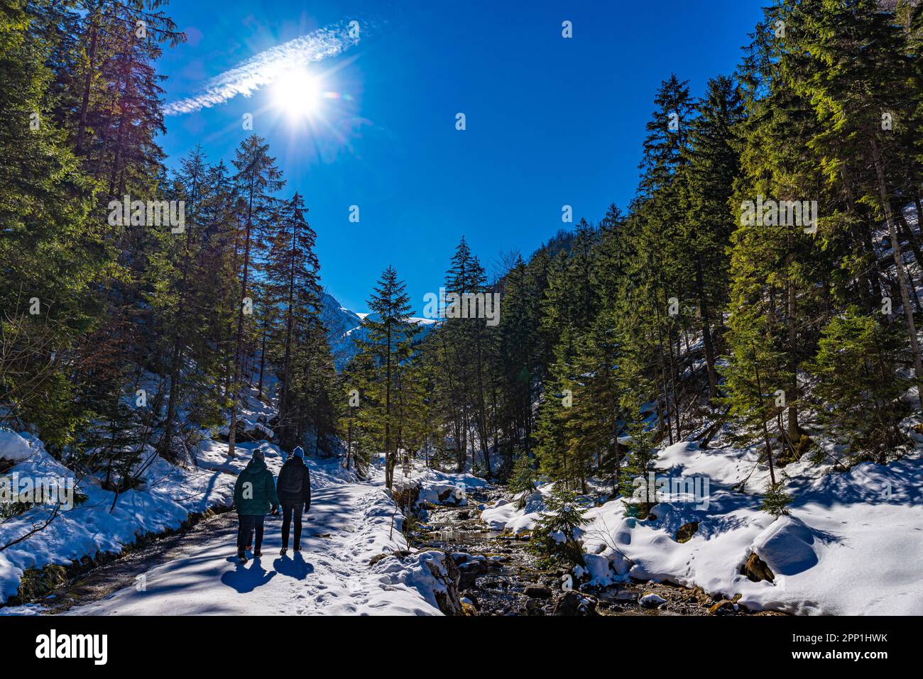 Koscieliska Dolina. Tatry. fot.Wojciech Fondalinski Stock Photo Alamy