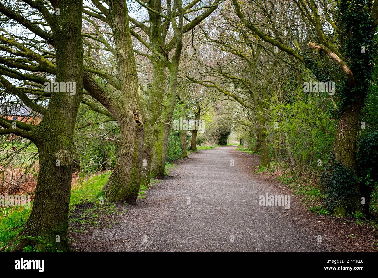 Former railway track now public footpath in Cheshire UK Stock Photo