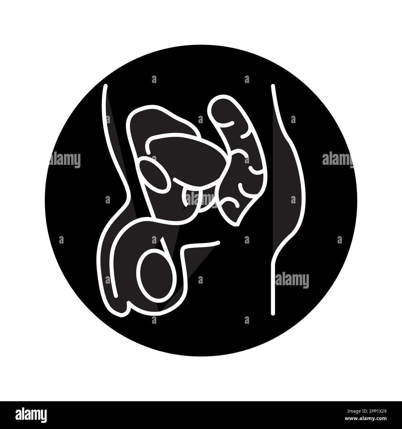 Male reproductive system anatomy Black and White Stock Photos & Images ...