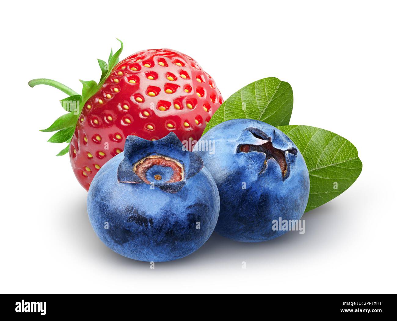 Isolated berries. Two sweet blueberry and strawberry fruits with leaves