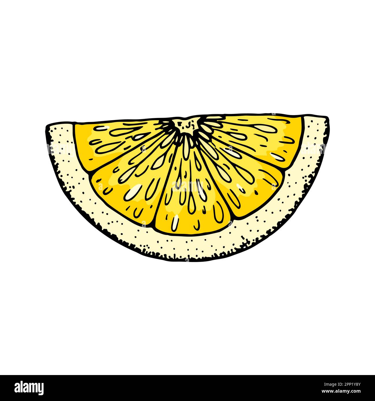 Lemon slice. Colorful hand drawn vector illustration in sketch style