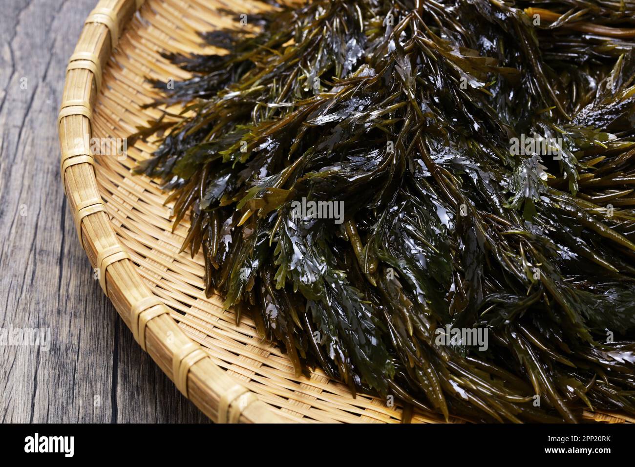 Japanese delicious seaweed, Akamoku ( Sargassum Horneri ) on a bamboo tray , uncooked Stock Photo