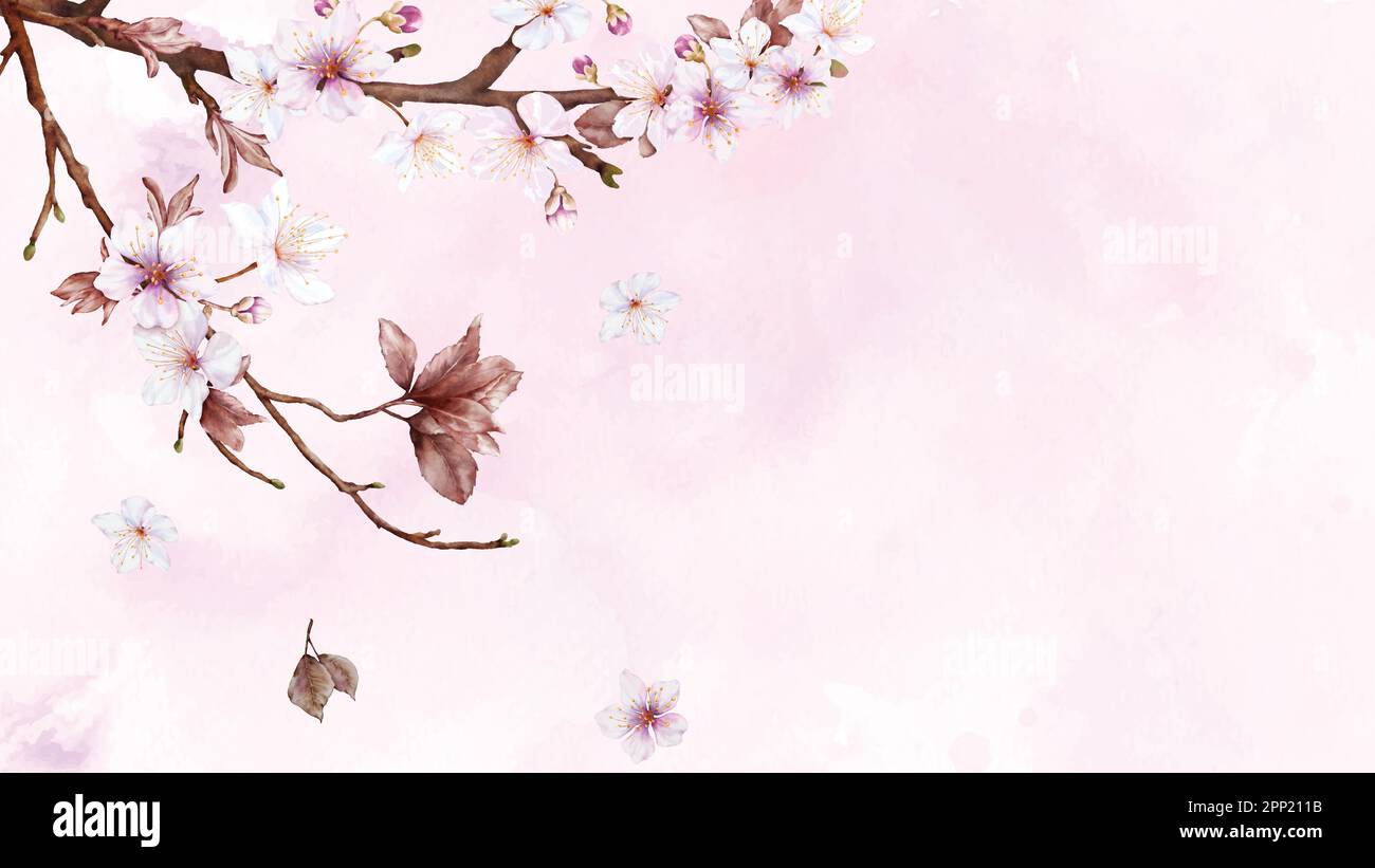 Watercolor art of Cherry blossom branch and pink sakura flower on stains background. Suitable for decorative banners, invitations, posters, or cards. Stock Vector