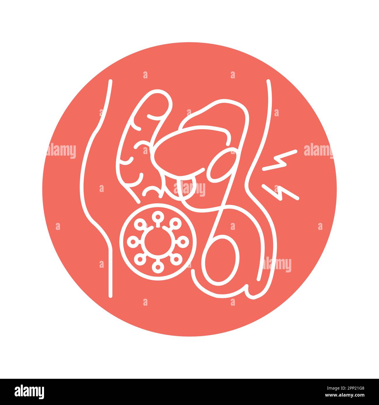 Male reproductive system line drawing hi-res stock photography and ...