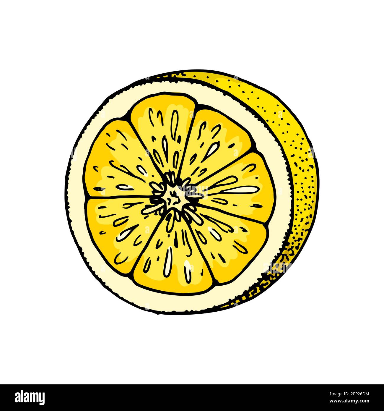 Lemon slice. Colorful hand drawn vector illustration in sketch style