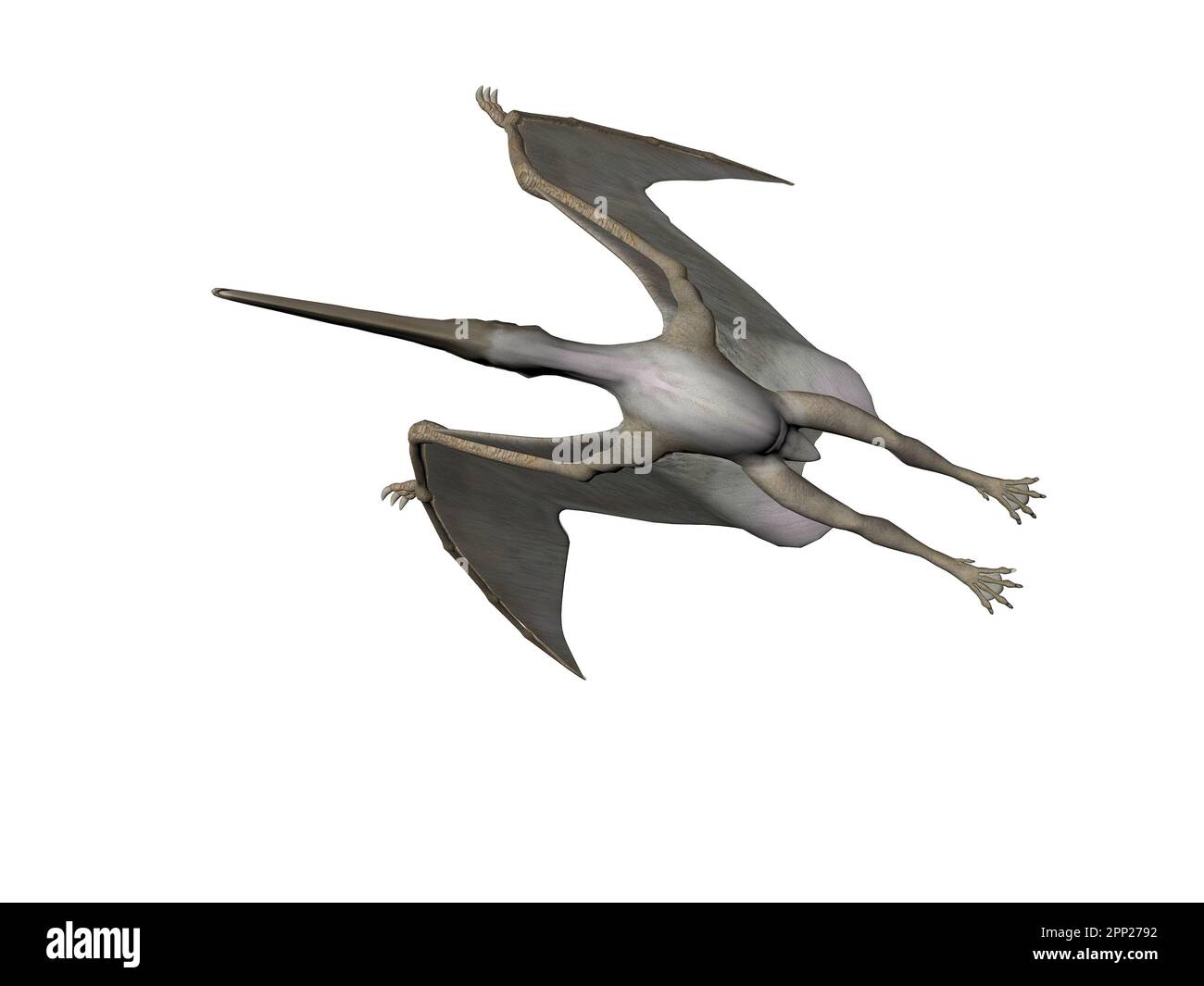 Pterodactyl Or Pteranodon Flying Over The Ocean Stock Photo, Picture and  Royalty Free Image. Image 9183984.