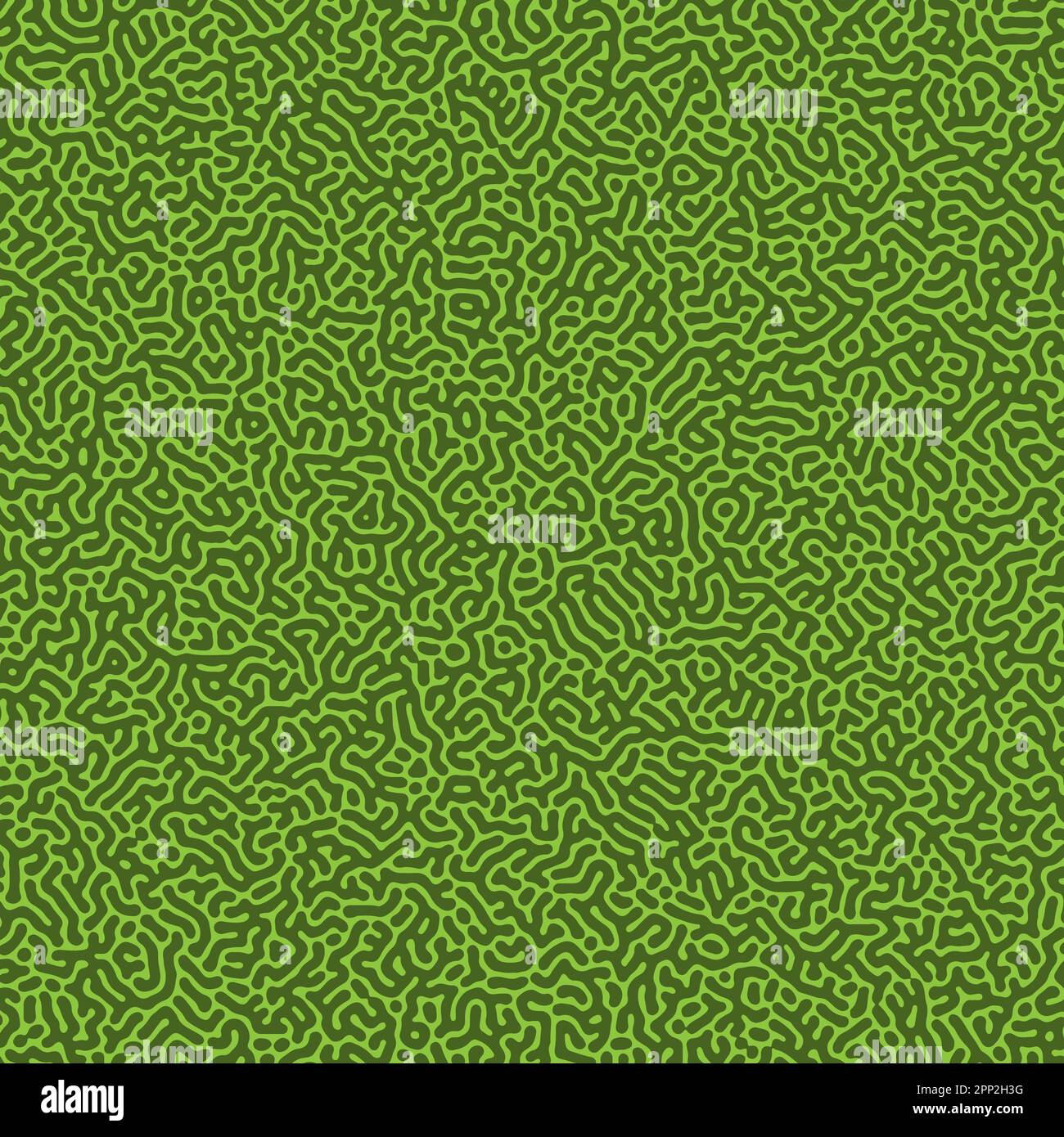 Turing pattern hi-res stock photography and images - Alamy