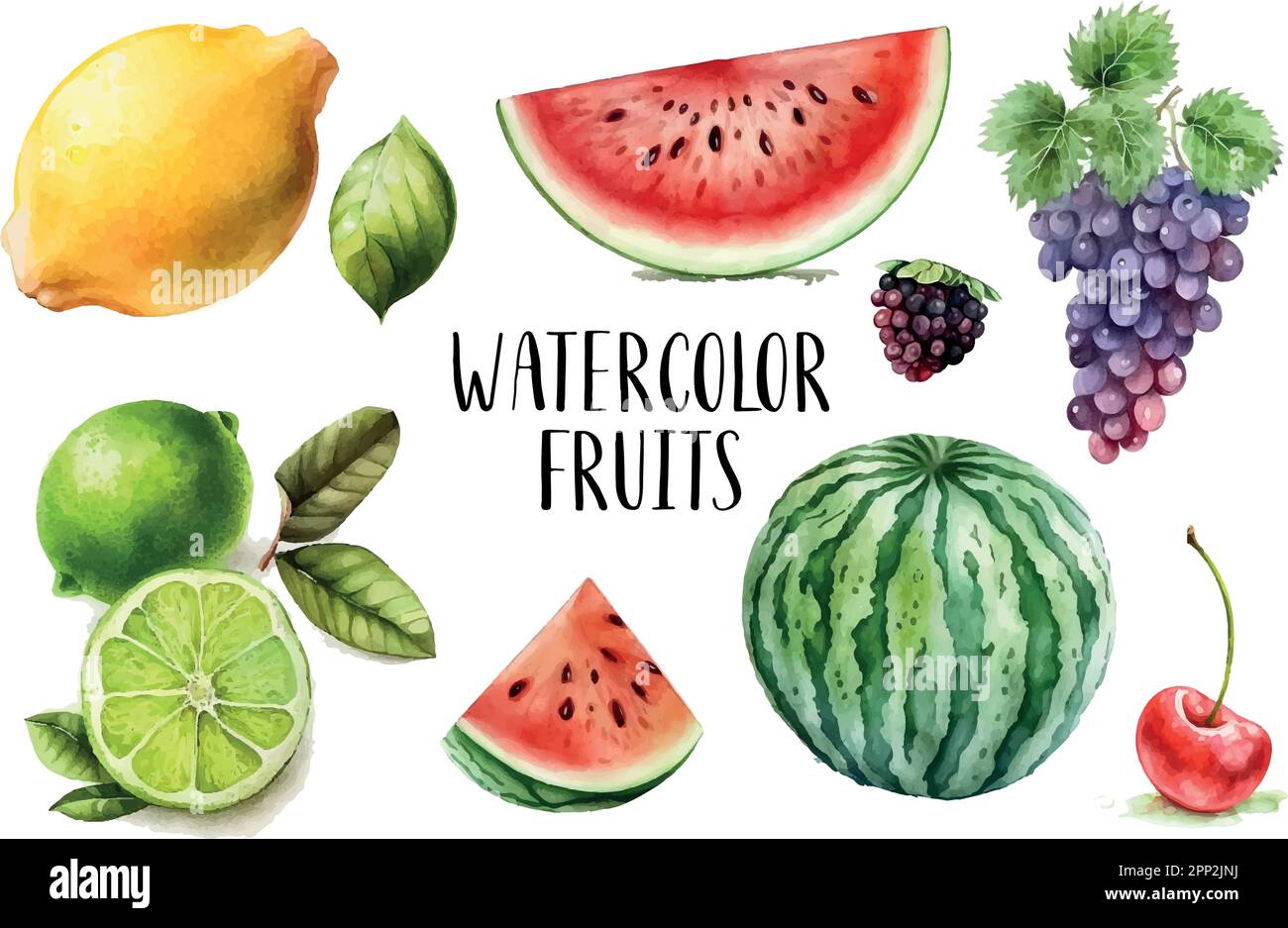 Watercolor painted collection of fruits. Hand drawn fresh food design ...