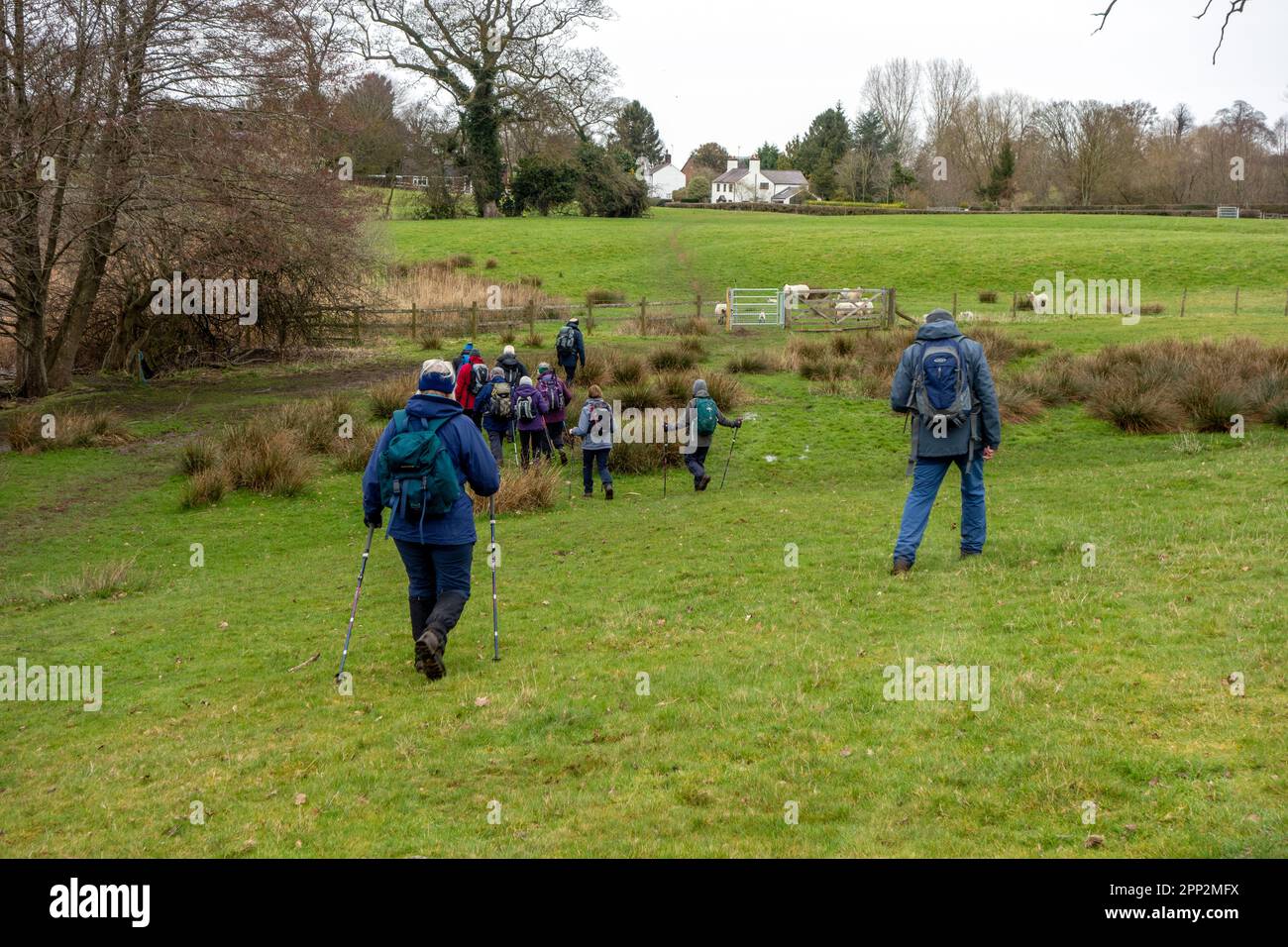 Members of the Sandbach U3A long walking group enjoying rambling in the Cheshire countryside near Marbury in South Cheshire Stock Photo