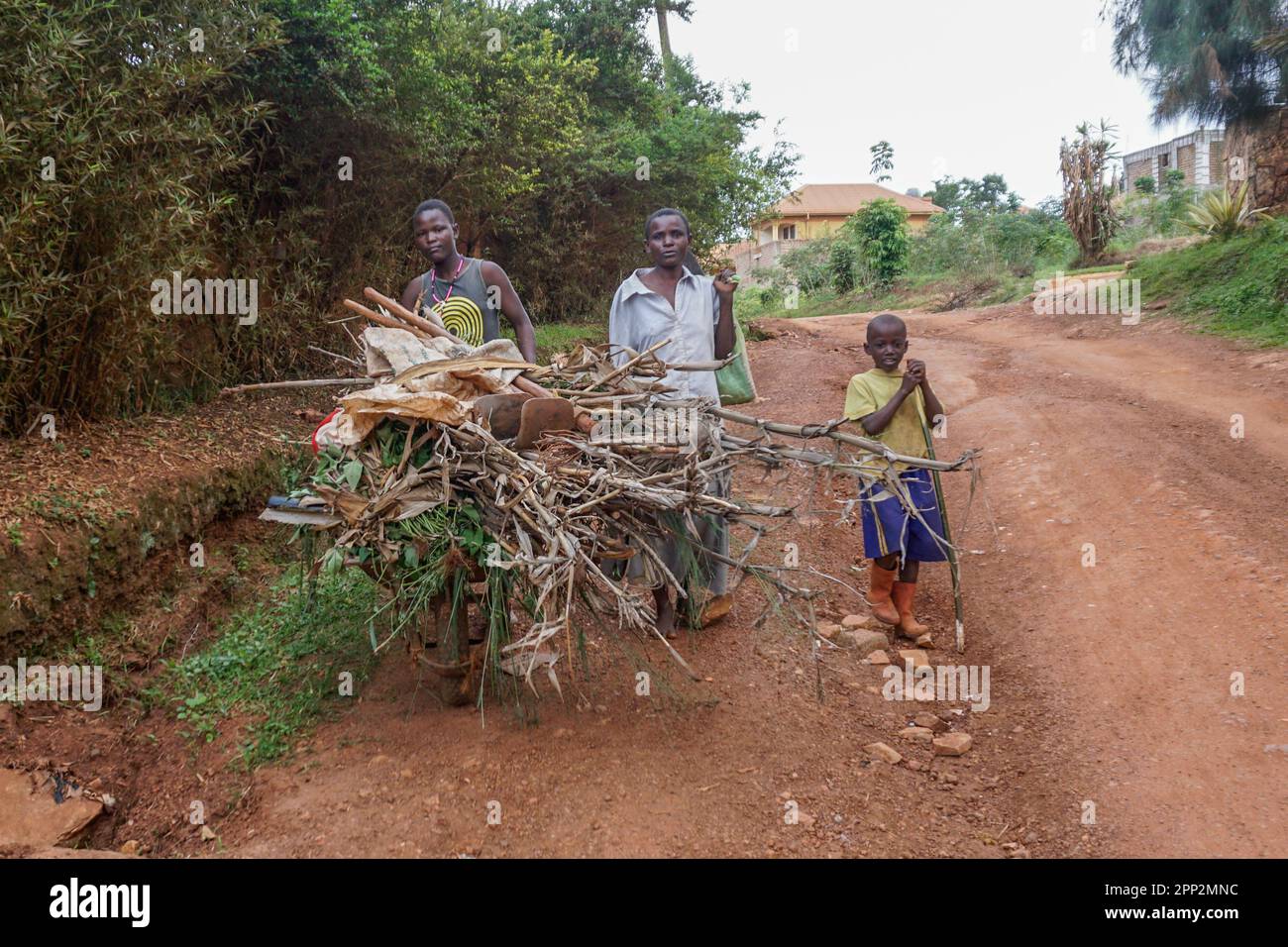 Namuyanja Esther, 15, pushes a wheelbarrow full of dry maize stalks to use as firewood, with her mother, Janet Mulongo, and her brother Ibra Mubiru, 10, in Kampala, Uganda on March 25, 2023. (Edna Namara/Global Press Journal) Stock Photo