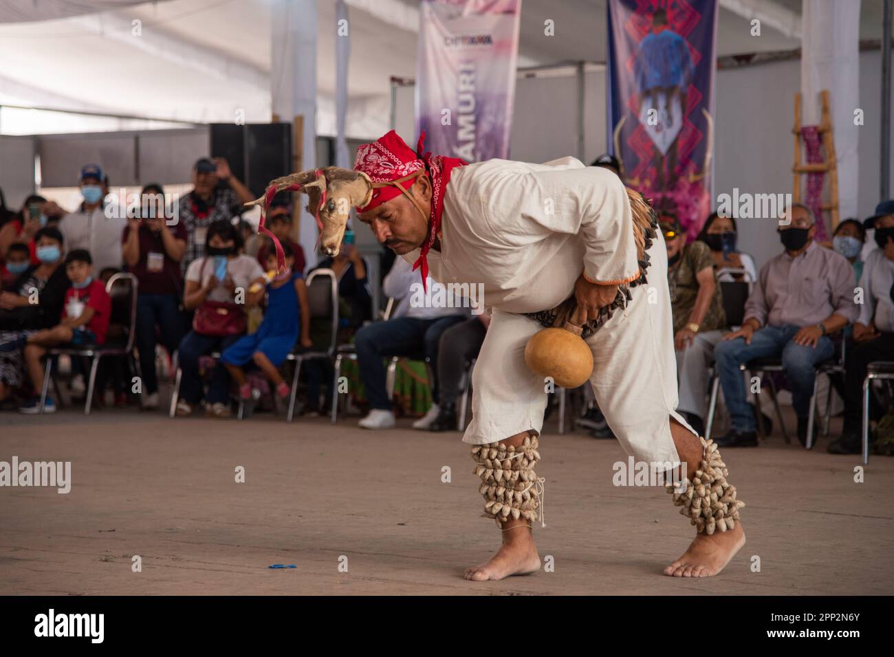 Francisco Javier Meléndrez Moragrega performs the danza del venado, or deer dance, on International Day of the World’s Indigenous Peoples in Chihuahua, Mexico on Aug. 7, 2022. It’s a traditional dance of the Yaqui and Mayo people from the states of Sonora and Sinaloa in northwest Mexico. (Lilette A. Contreras/Global Press Journal) Stock Photo