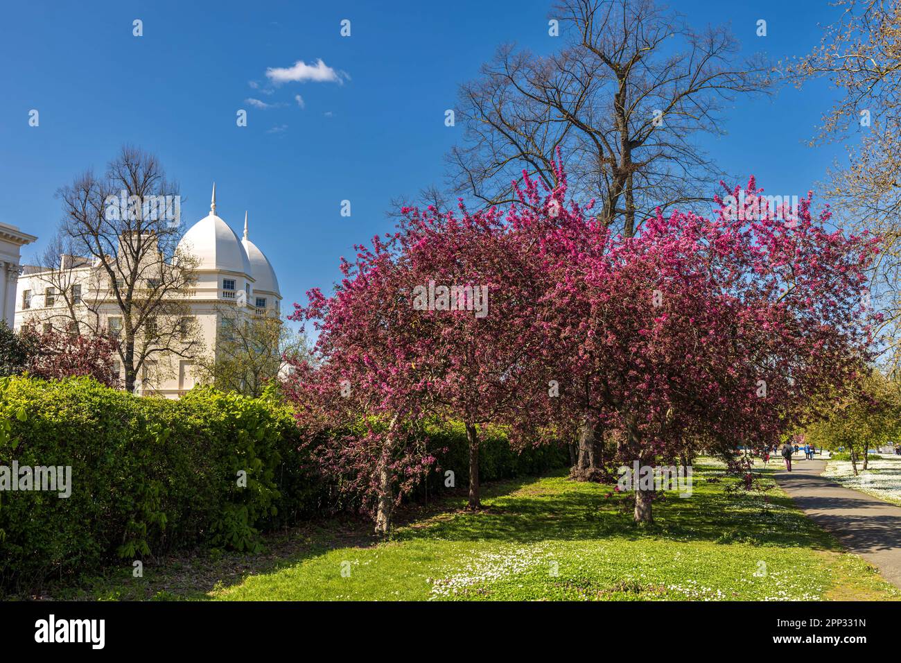 Primrose Park London Tracey Top Clementines main image 0