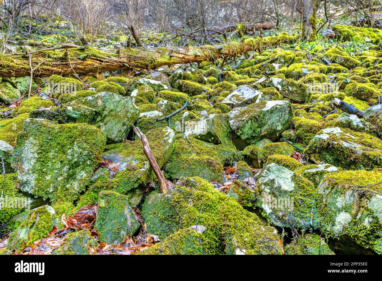 Mossy boulders hi-res stock photography and images - Alamy