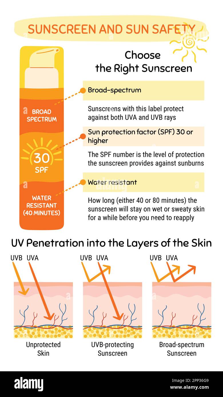 How to choose and apply sunscreen infographic. UV into the layers of the skin. Broad