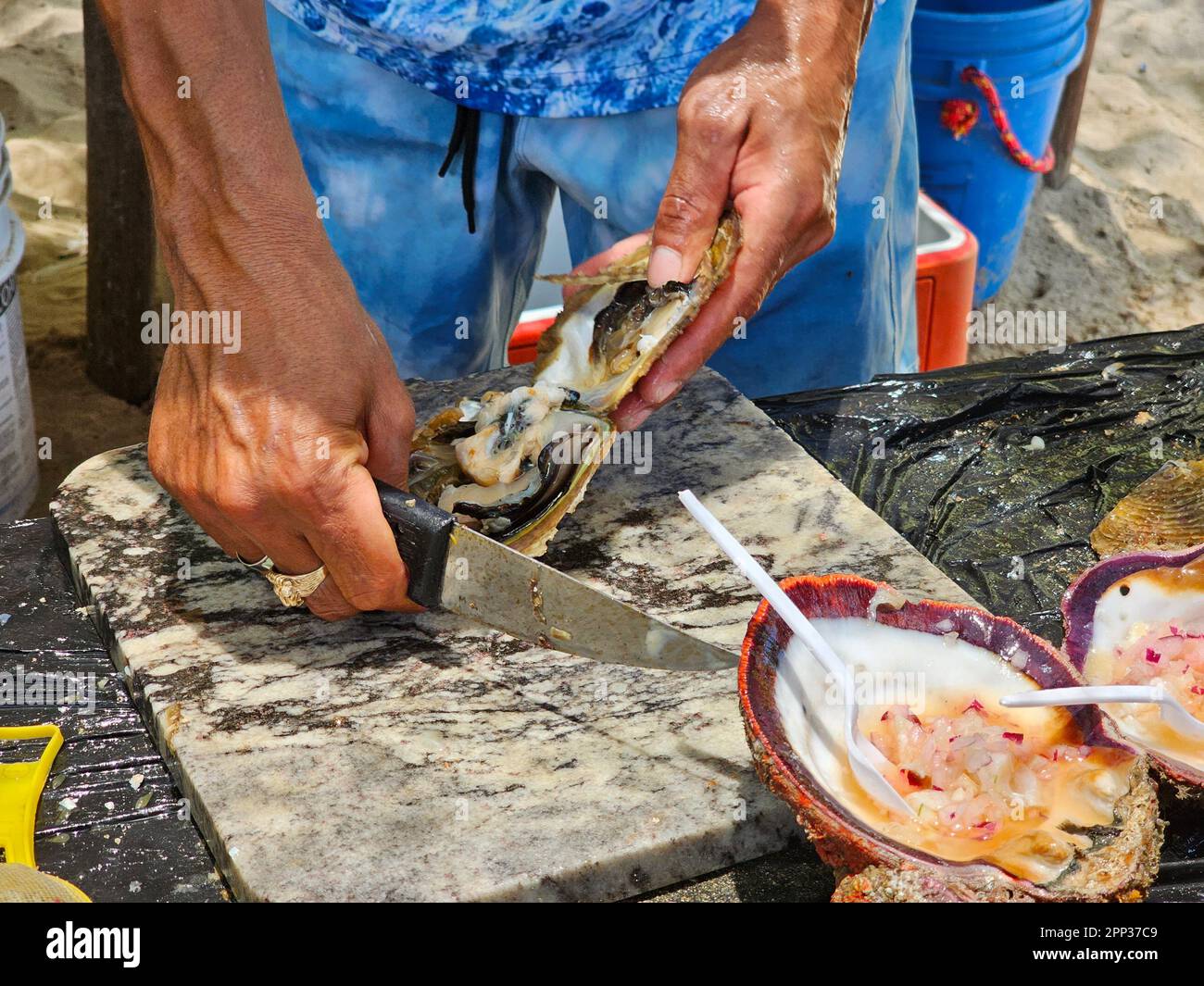 With strong, calloused hands and a weathered face, the traditional man deftly shucks oysters at the beach, skillfully prying apart their tough shells Stock Photo