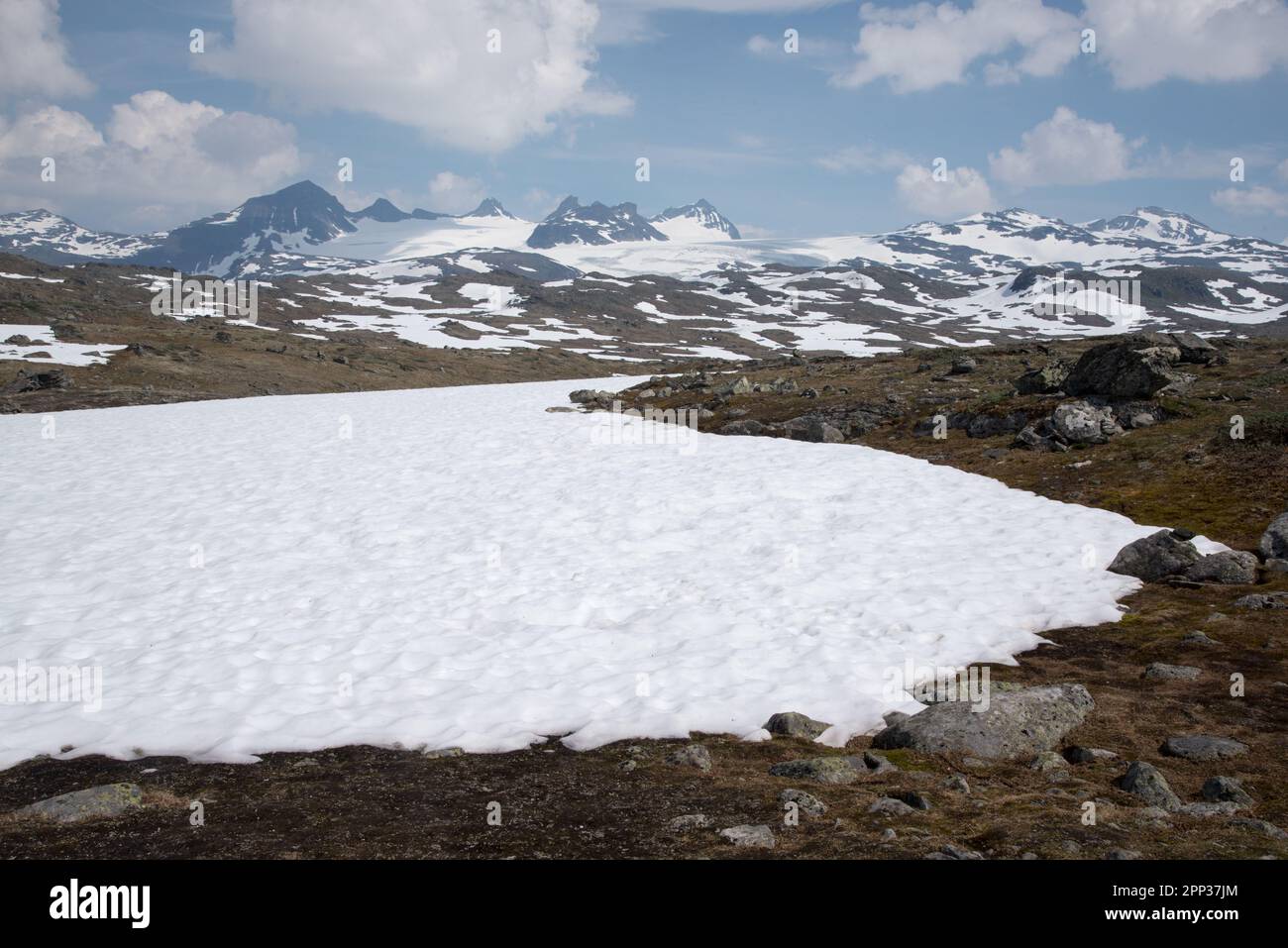 fjell at Fantesteinen in Jotunheimen with snowfields in central Norway's Innlandet county at 1434 meter amsl. Stock Photo