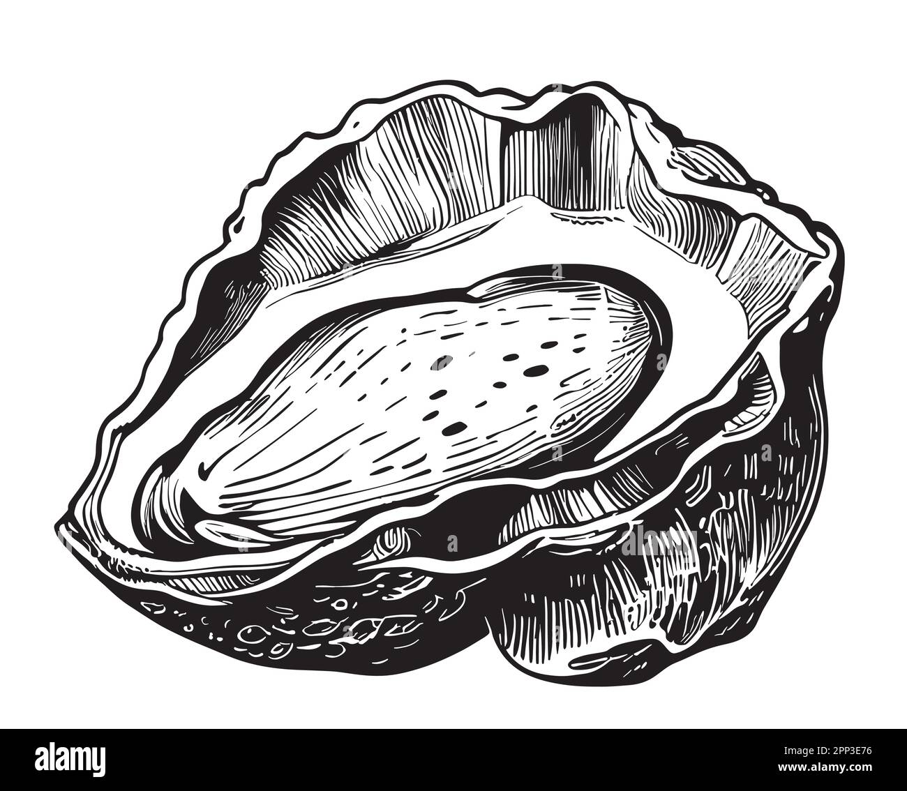 Oyster sketch hand drawn in doodle style sea food illustration Stock