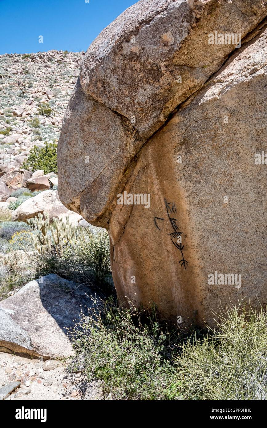 A Kumeyaay pictograph in Little Blair Valley Cultural Preserve in Anza Borrego Desert State Park, California.Seen on Ehmuu Morteros hiking trail. Stock Photo