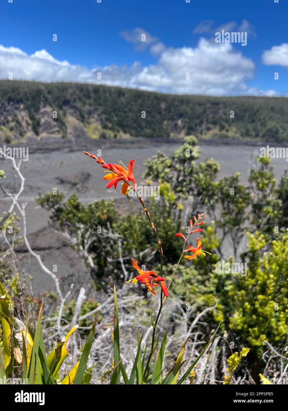 Pele hawaii hires stock photography and images Alamy