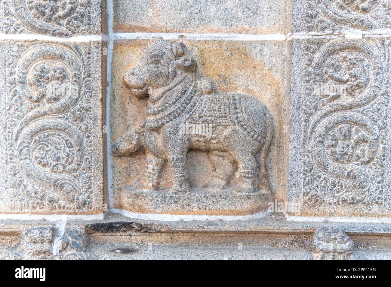 Nandhi the bull god sculpture from the Sivan temple wall at Chidambaram Thillai Natarajar. sculpture of the Shiva temple Stock Photo