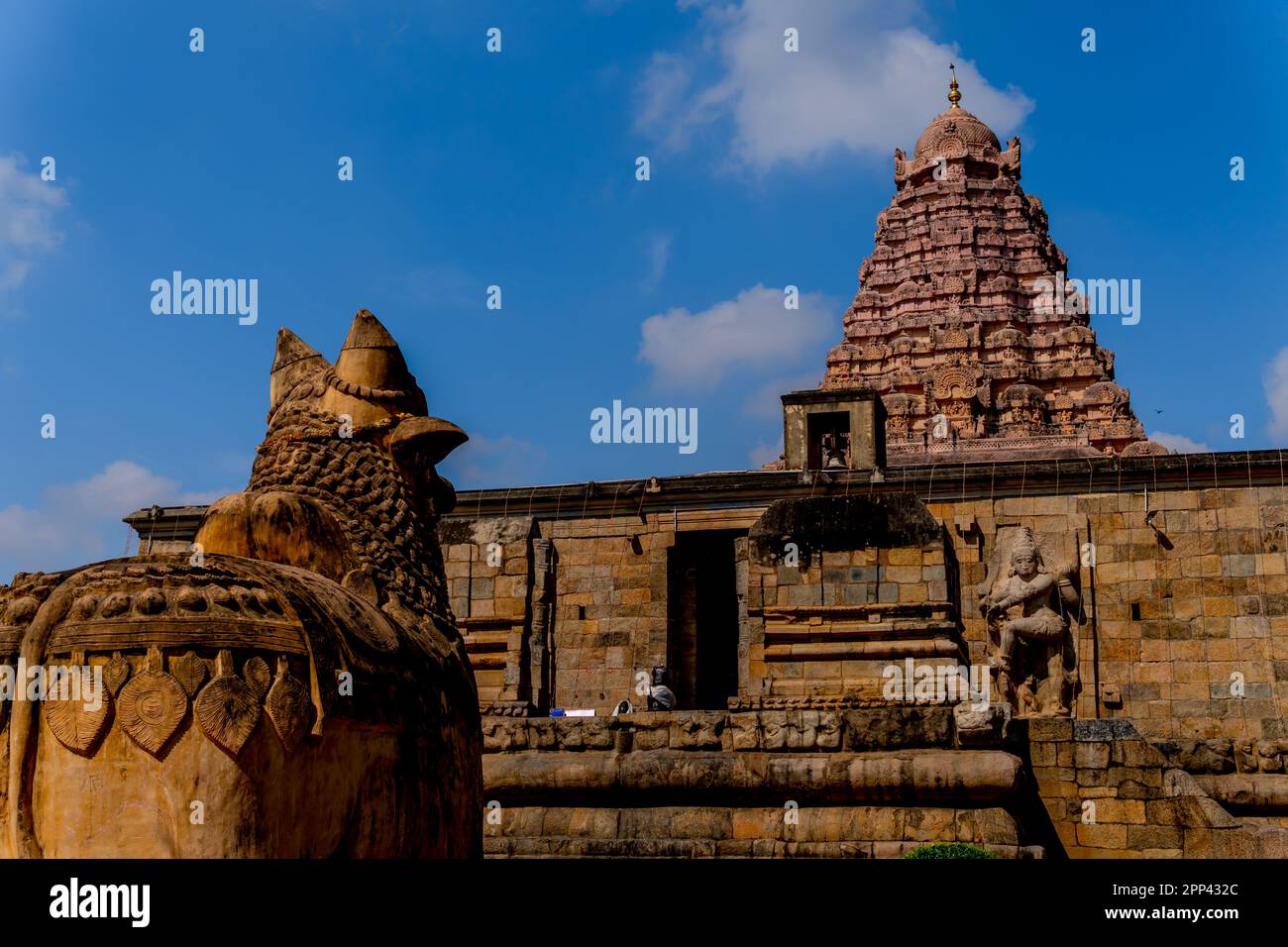 In GangaiKondaCholapuram, a historic south Indian temple, Nandhi is positioned to face the Shiva temple gopuram. The Shiva Vahana, a gigantic bull god Stock Photo