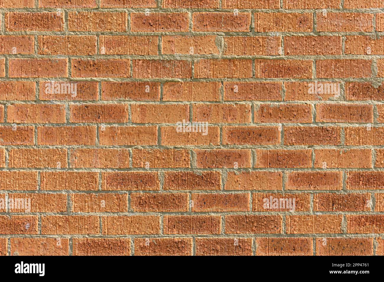 A red brick wall in the sunshine Stock Photo