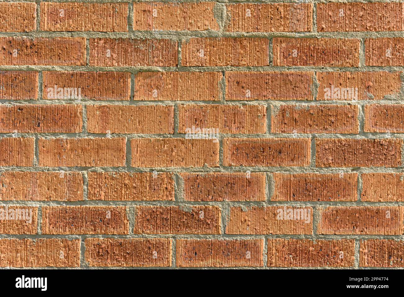 A red brick wall in the sunshine Stock Photo