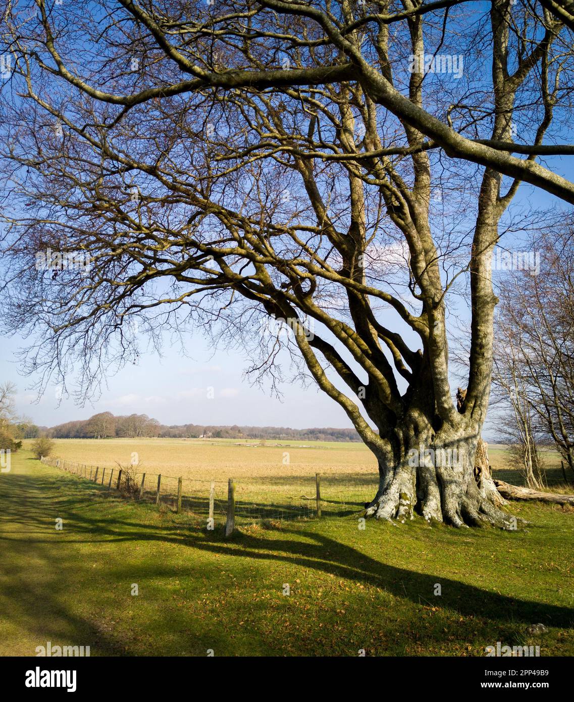 New King barrow Uk near Stonhenge Stock Photo Alamy