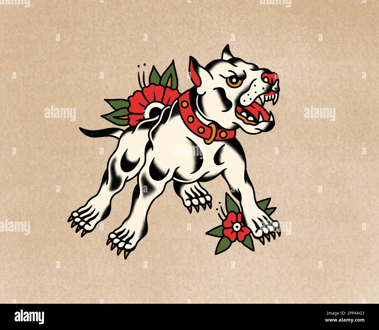 Pitbull dog vicious hi-res stock photography and images - Alamy