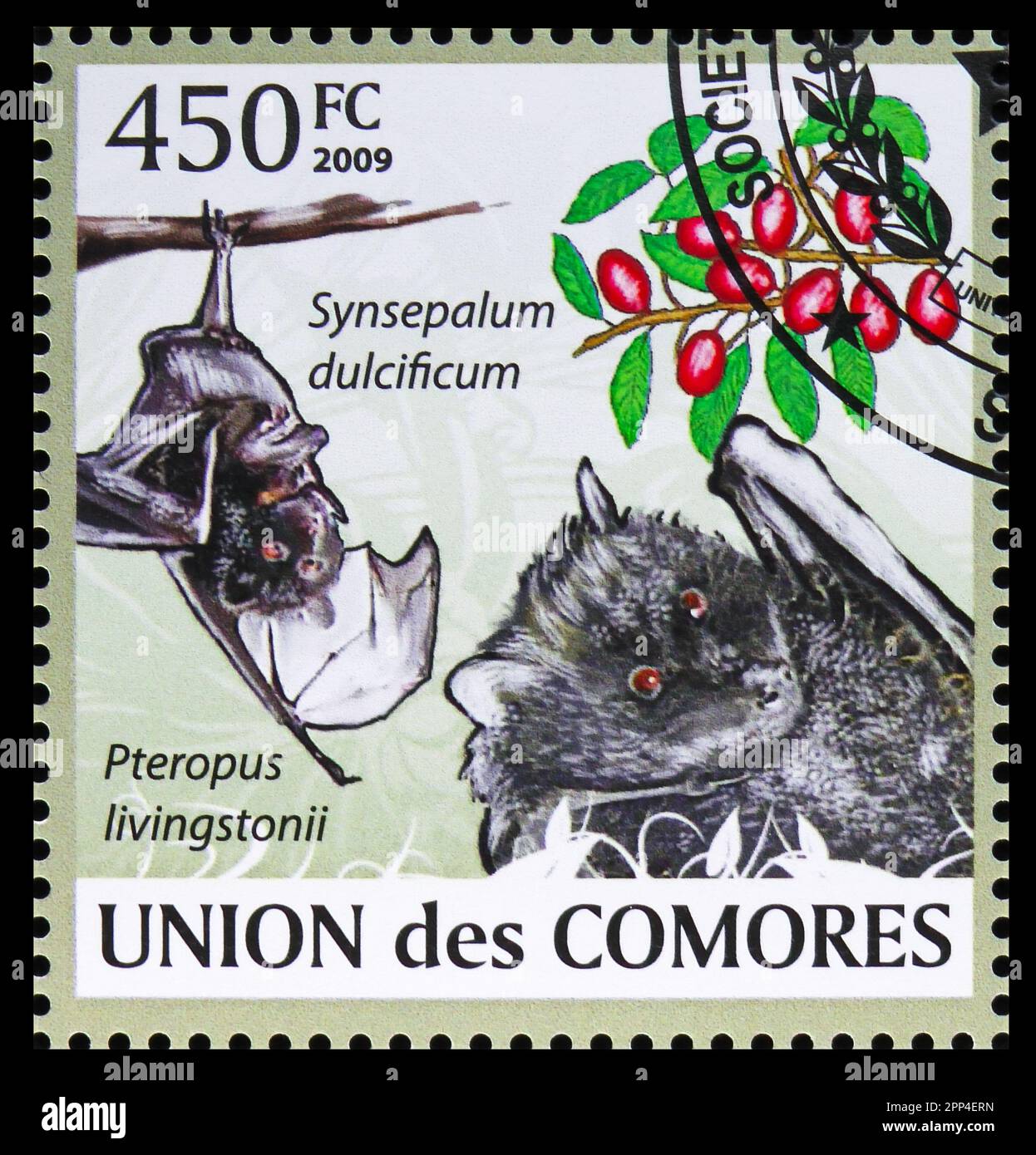 MOSCOW, RUSSIA - JULY 12, 2022: Postage stamp printed in Comoros shows Livingstones Fruit Bat (Pteropus livingstonii), Miracle Fruit (Synsepalum dulci Stock Photo