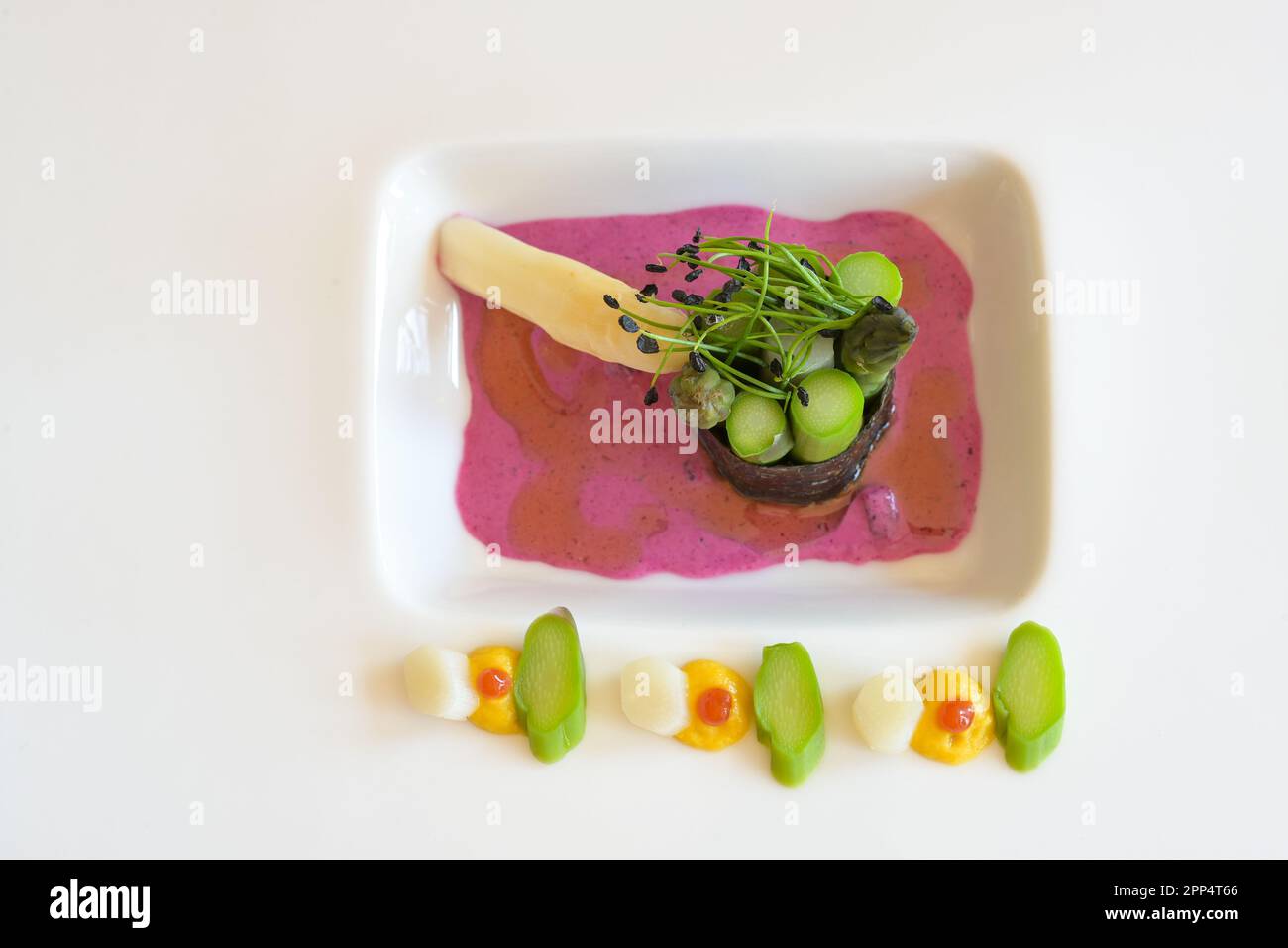 Vegetarian gourmet dish made of asparagus wrapped in nori seaweed, beetroot dressing and leek sprouts served on a white plate, high angle view from ab Stock Photo