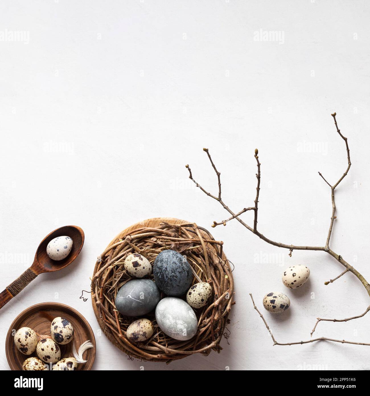 Flat lay easter eggs bird nest with copy space twig Stock Photo