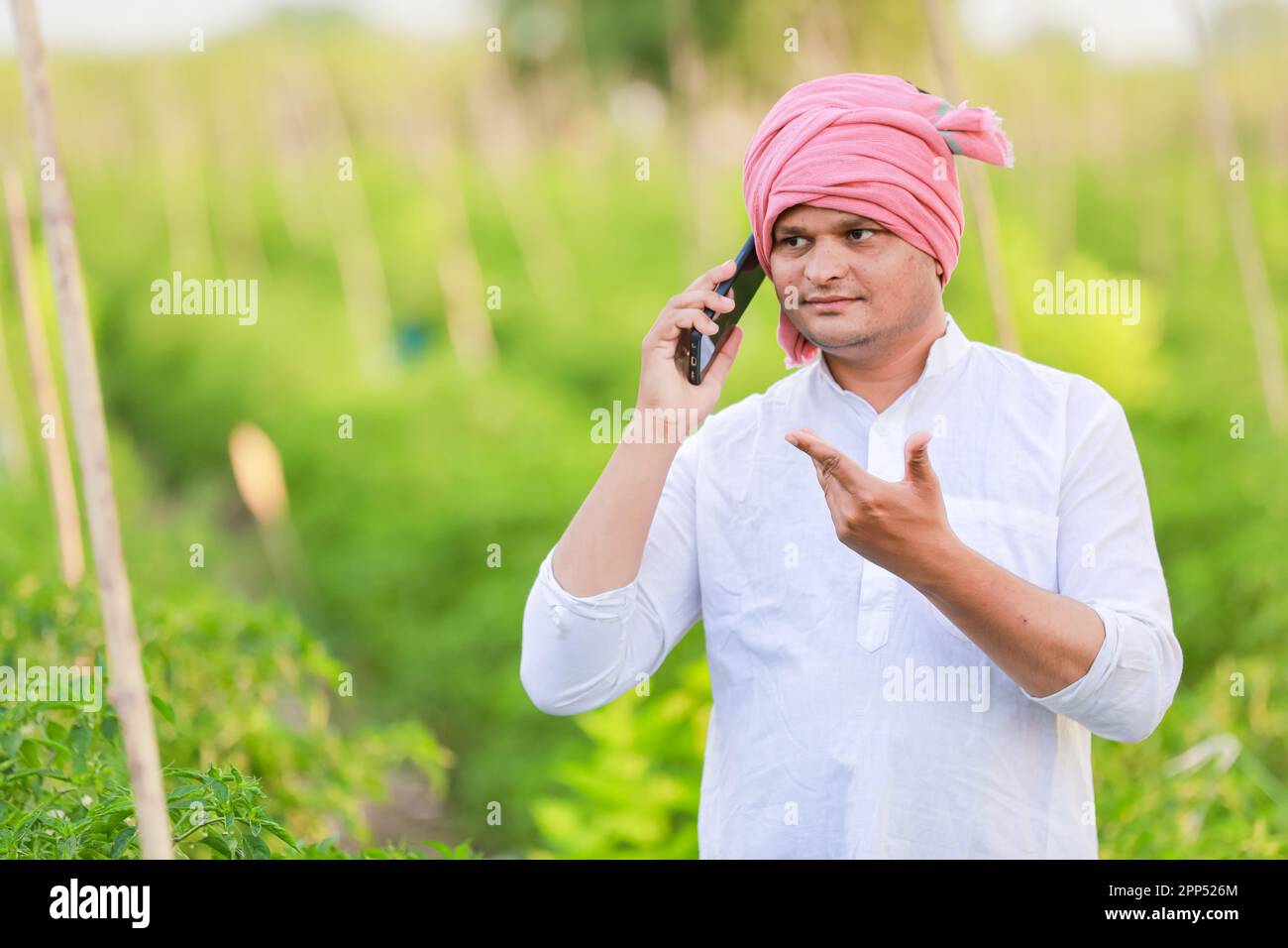 Young indian farmer showing Smart phone , Farmer talking on phone in farm, happy indian farmer Stock Photo