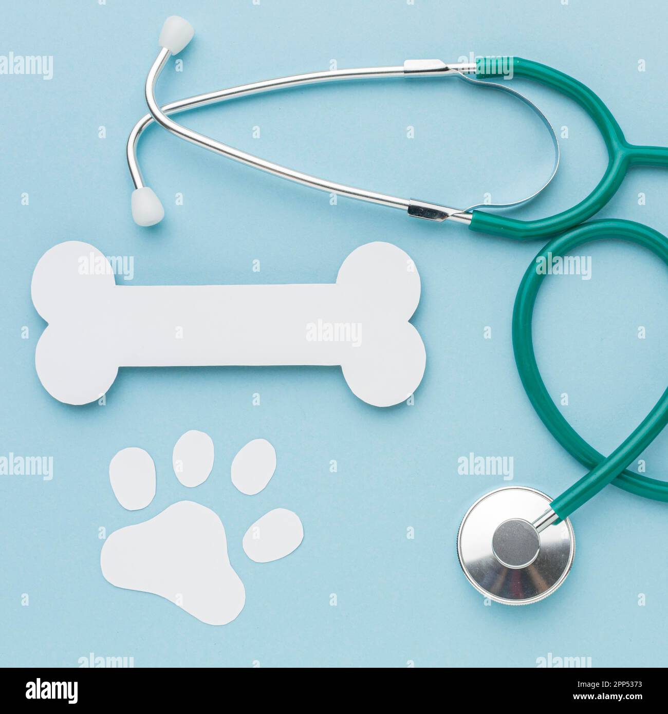 Top view paper bone paw print with stethoscope animal day Stock Photo