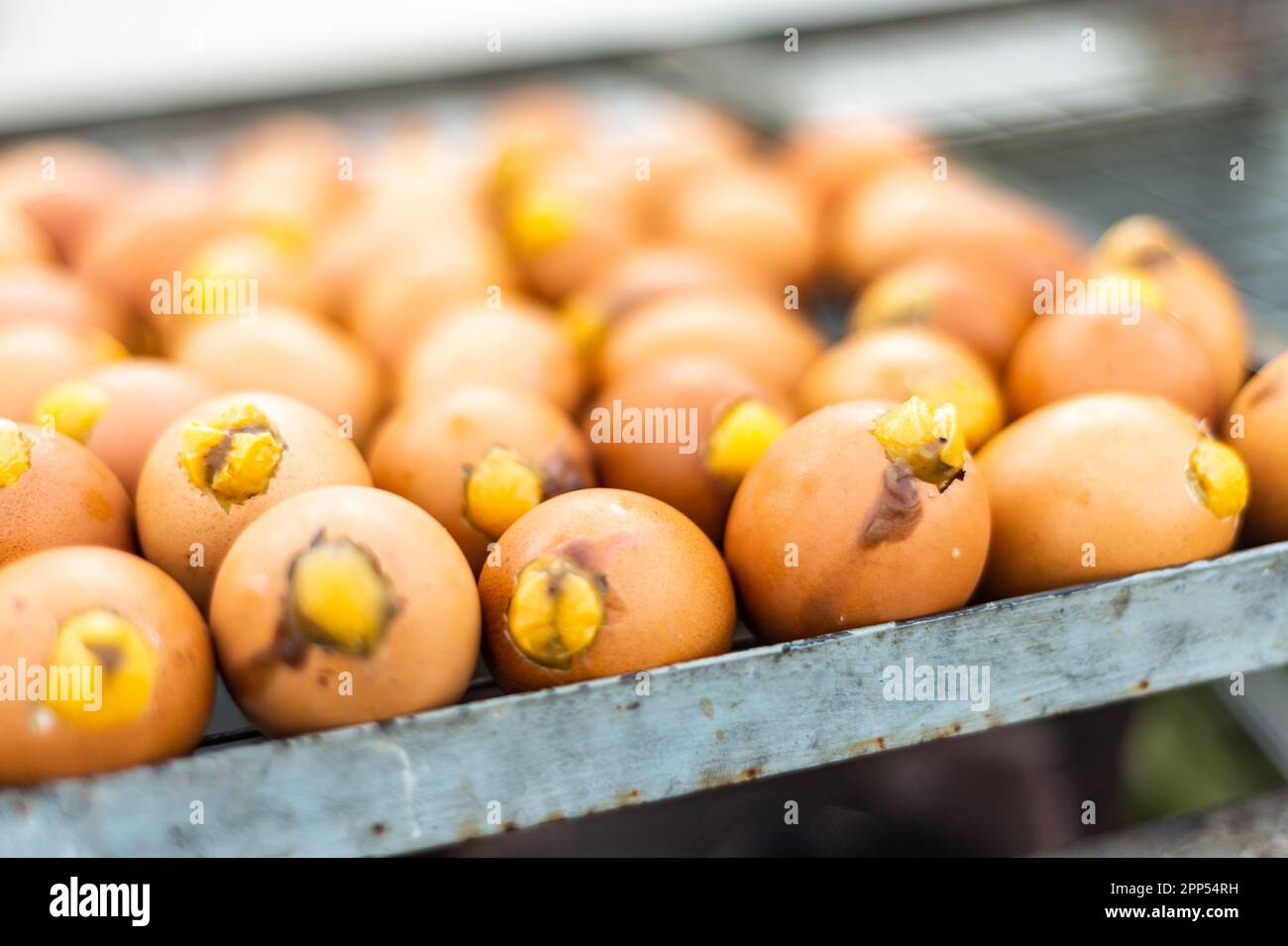 Balut,a fertilized embryo inside an egg, south east Asian delicacy,popular in Cambodia,displayed on a metal tray to passers by.The yellow beaks sticki Stock Photo