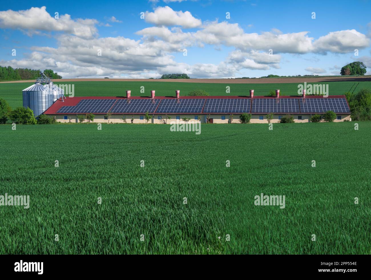 Green energy with solar collectors on the roof of an agricultural