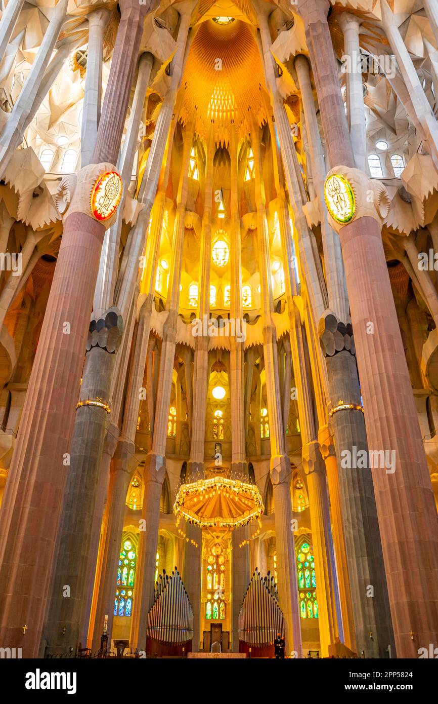 Artistic ceiling vault with columns, interior of the Sagrada Familia ...