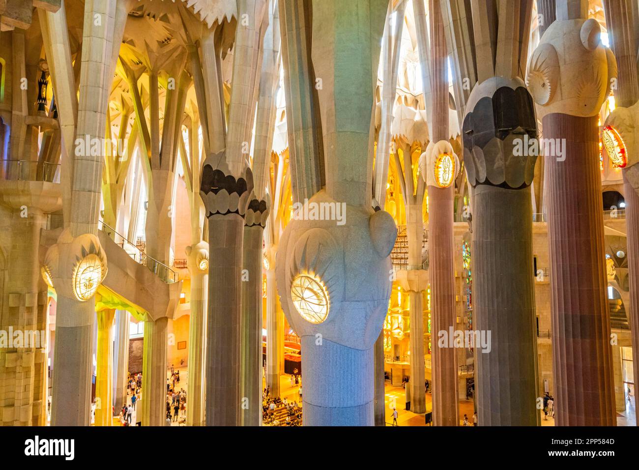 Columns on the interior of the Sagrada Familia, Church of the Atonement ...