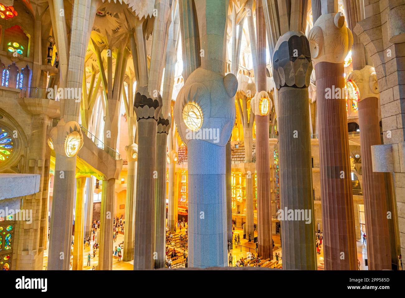 Columns on the interior of the Sagrada Familia, Church of the Atonement ...