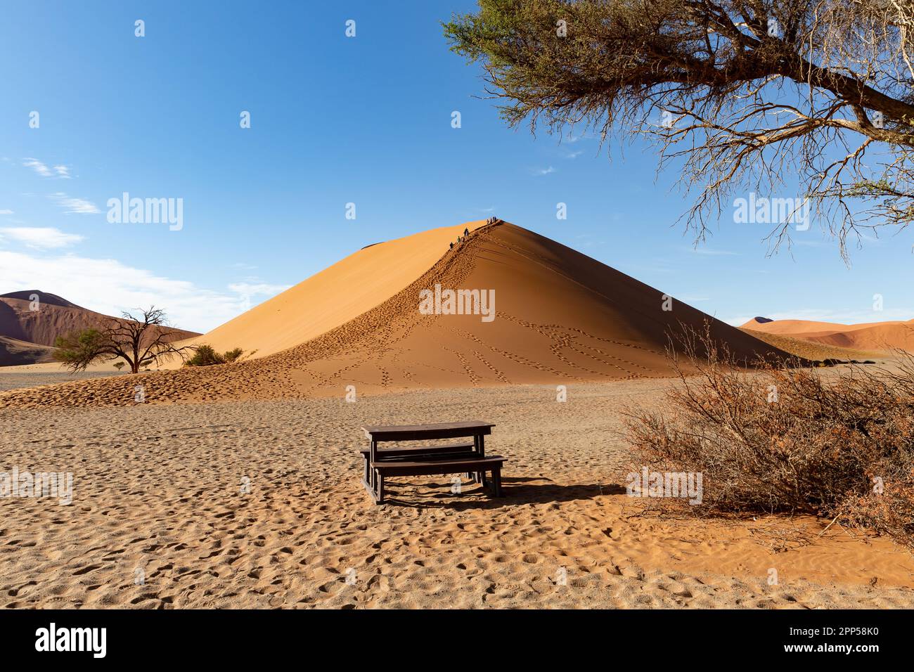 Tourists climbing up the famous Sossusvlei Dune 45 in the Namib Desert ...