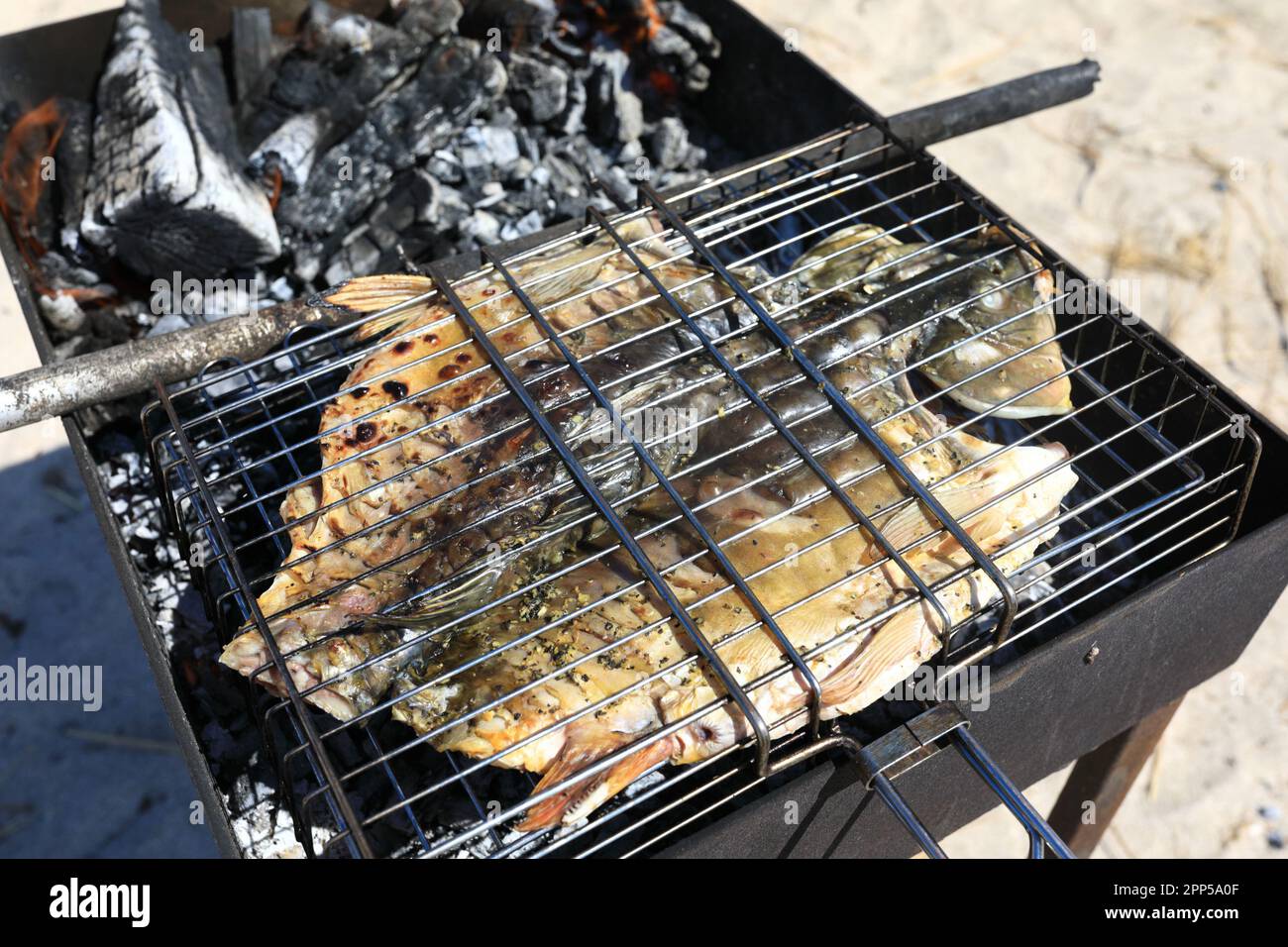 Cooking whole carp on grill in backyard in summer Stock Photo Alamy