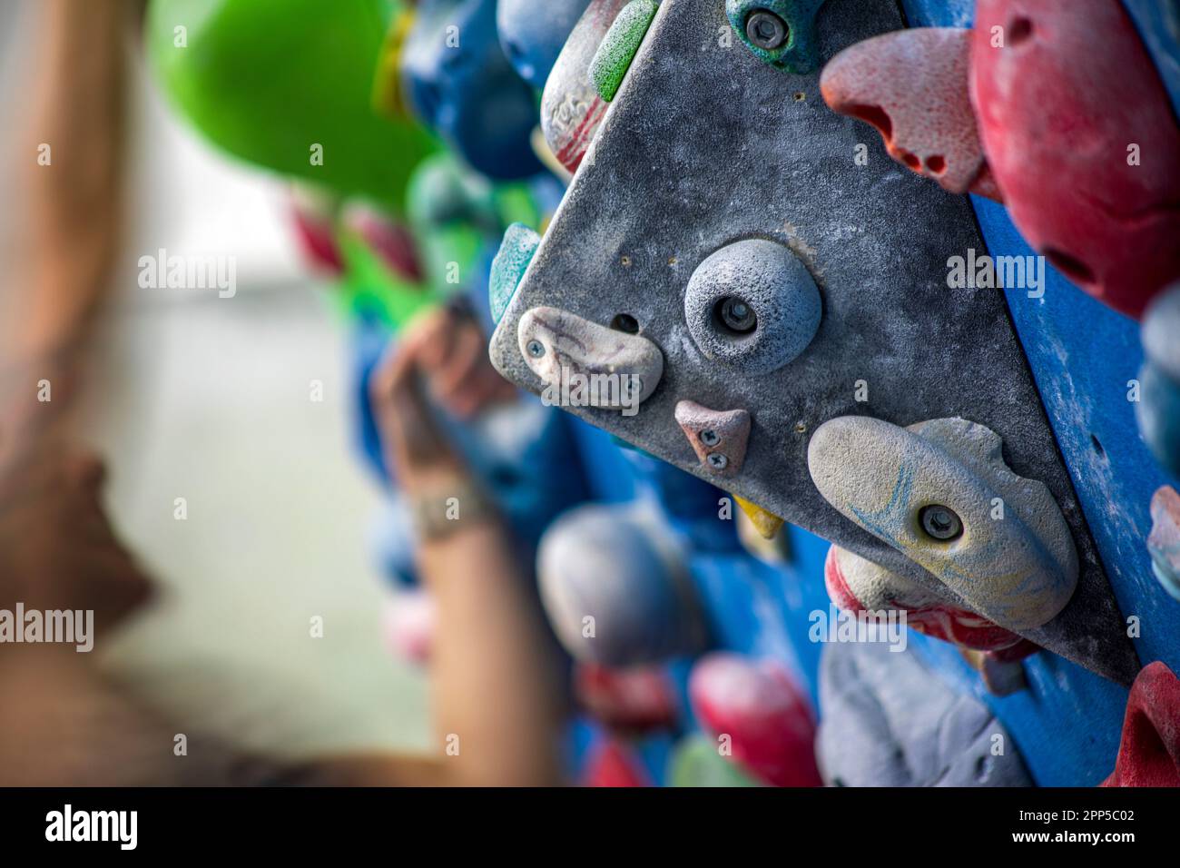 Detail of a vertical wall of an indoor climbing wall with holds of different colors to practice climbing with a blurred person climbing Stock Photo