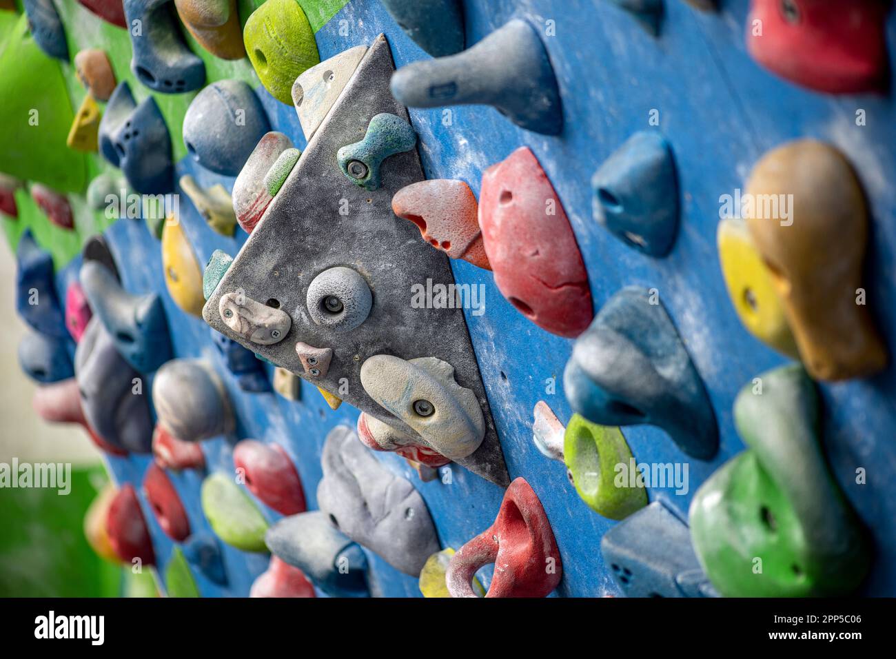 Detail of a vertical wall of an indoor climbing wall with holds of different colors to practice
