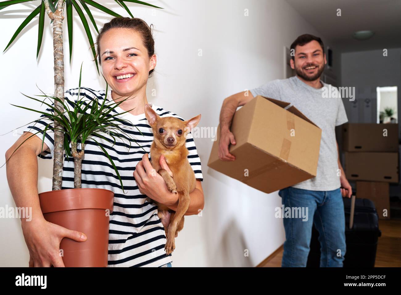 Cardboard plant hi-res stock photography and images - Alamy