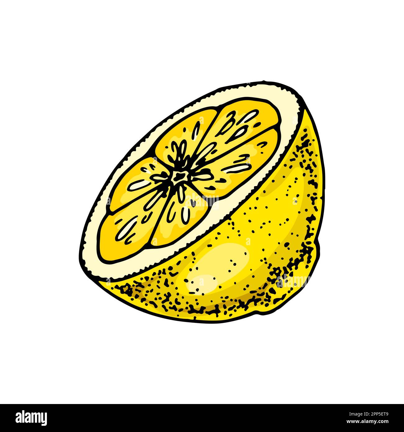 Lemon slice. Colorful hand drawn vector illustration in sketch style