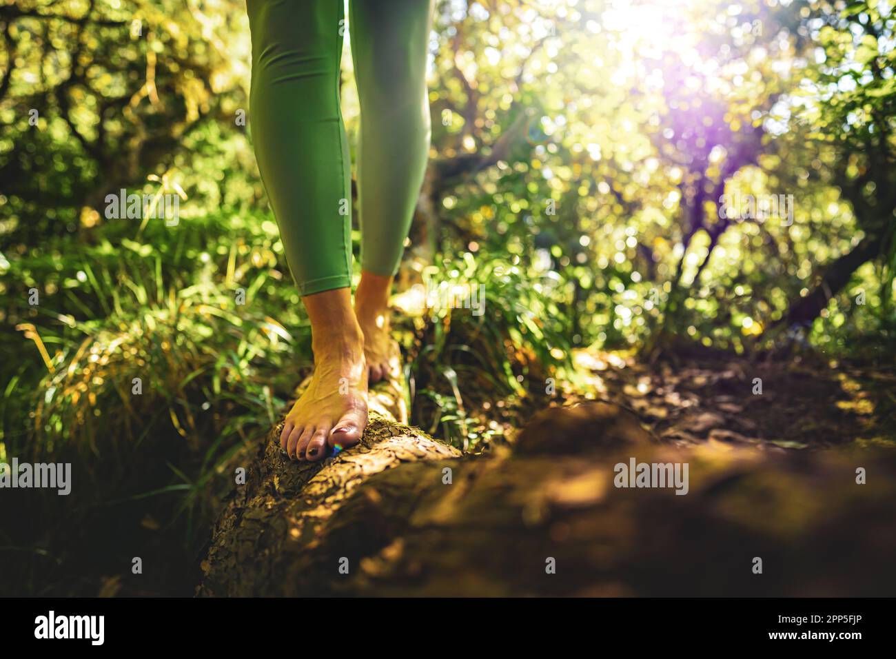 Description: Legs of a woman walking barefoot on a dead tree trunk in  beautiful sunny atmosphere. Levada of Caldeirão Verde, Madeira Island,  Portugal Stock Photo - Alamy