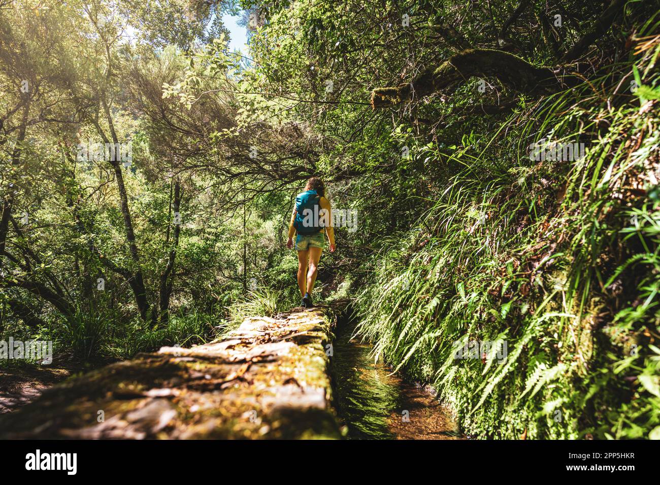 Description: Tourist woman walking along jungle hiking trail  next to canal through Madeiran rainforest. Levada of Caldeirão Verde, Madeira Island, Po Stock Photo
