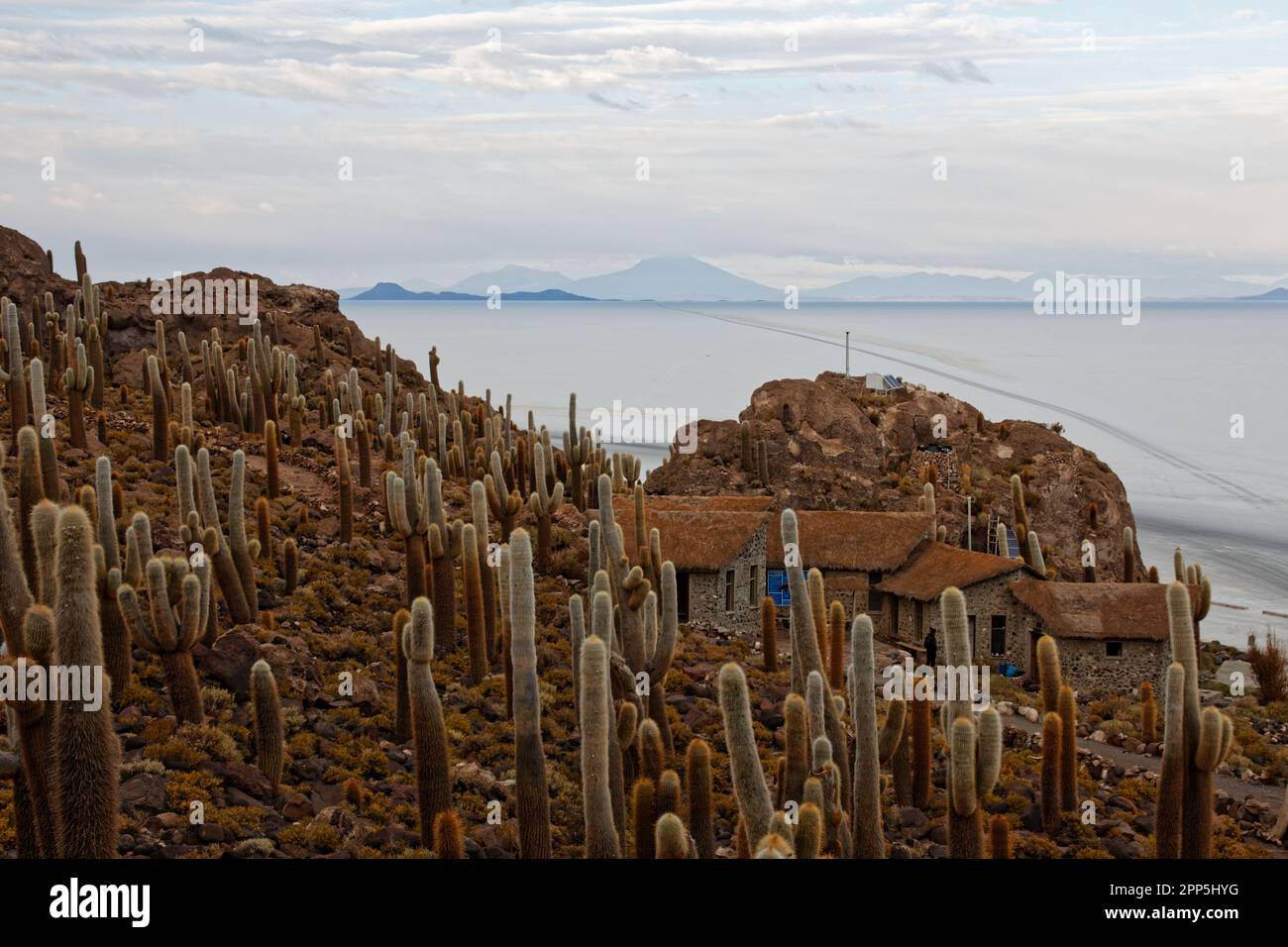 Panoramic view from Isla Incahuasi, Salar de Uyuni, Bolivia Stock Photo