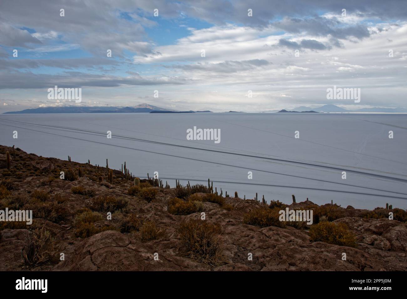Panoramic view from Isla Incahuasi, Salar de Uyuni, Bolivia Stock Photo